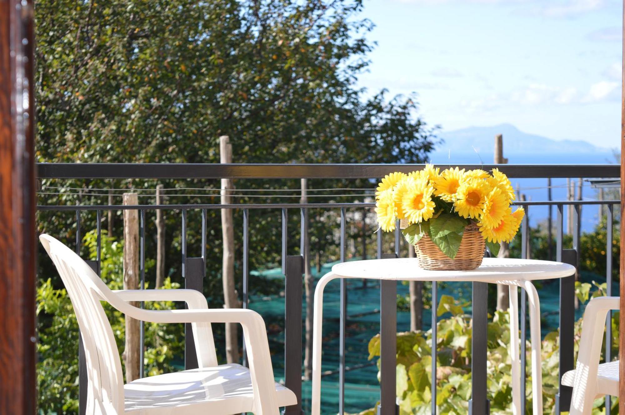 Mary's Dream - Overlooking Capri And Ischia In Sorrento Peninsula *