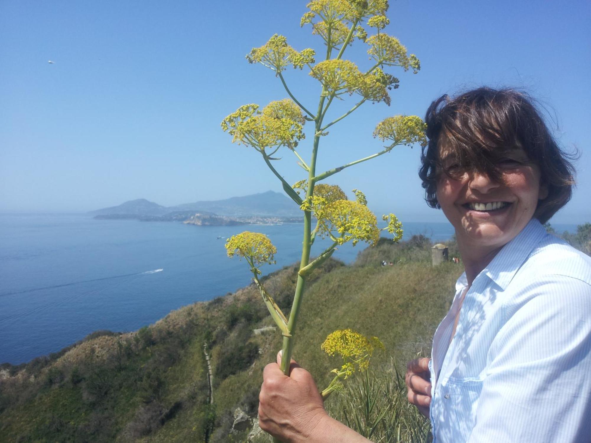 Mary's Dream - Overlooking Capri And Ischia In Sorrento Peninsula Villa *